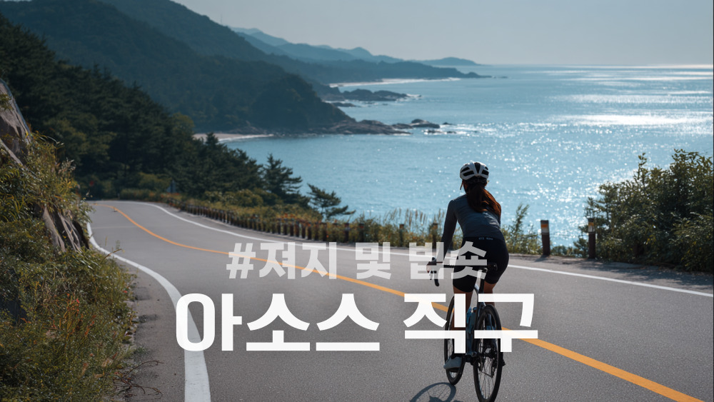 아소스 빕숏 및 져지 해외직구 방법 최신 정리