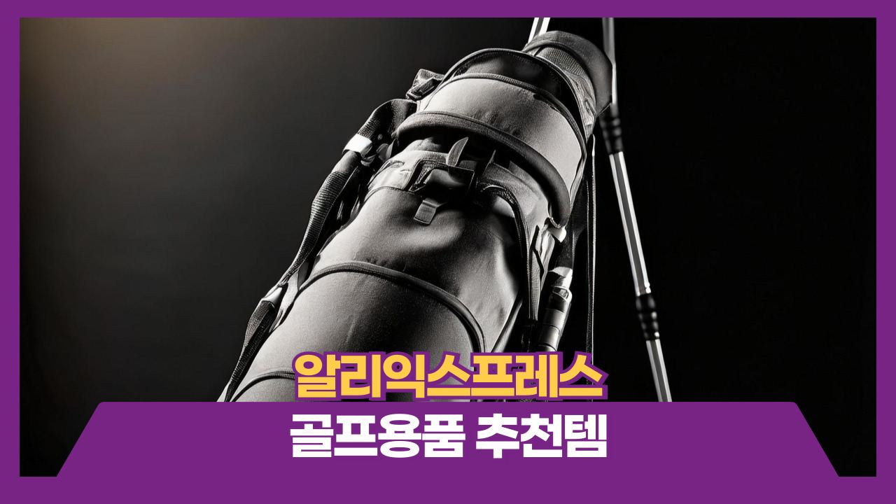 알리익스프레스 골프용품 추천템 BEST4