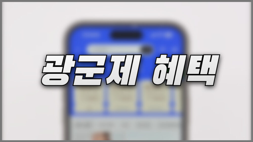 알리 광군제 혜택