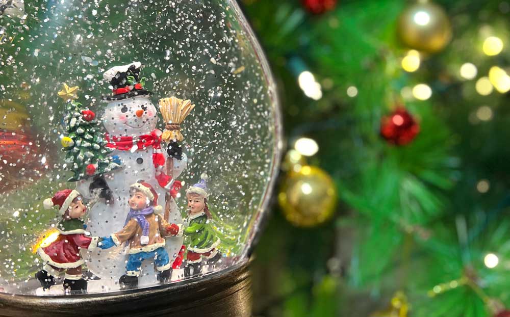 필립스 듀얼컬러 크리스마스 장식용 LED 100구 설치후기