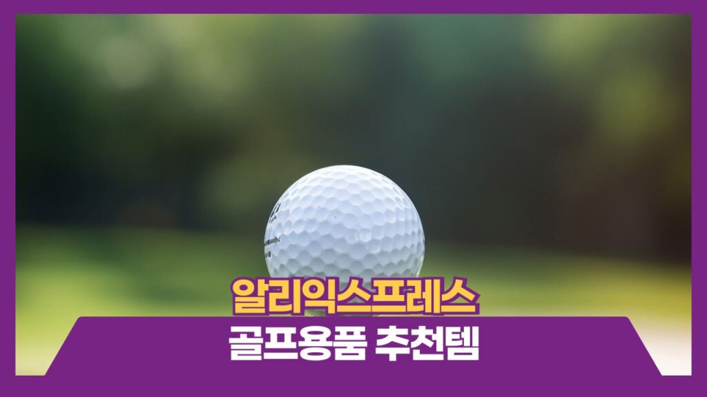 알리익스프레스 골프용품 추천템 주문방법