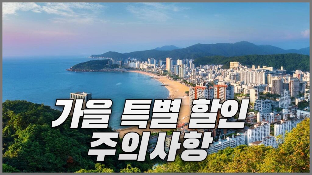 가을 특별 세일 프로모션 주의사항