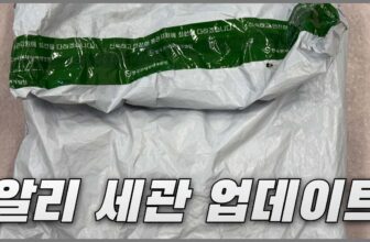 알리 세관 업데이트 임시계류 및 조사중 알리익스프레스 대응방법