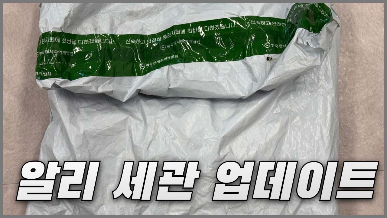 알리 세관 업데이트 임시계류 및 조사중 알리익스프레스 대응방법 알리 세관 업데이트 임시계류 및 조사중 알리익스프레스 대응방법