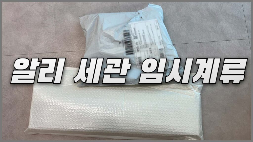 알리익스프레스 세관 임시계류