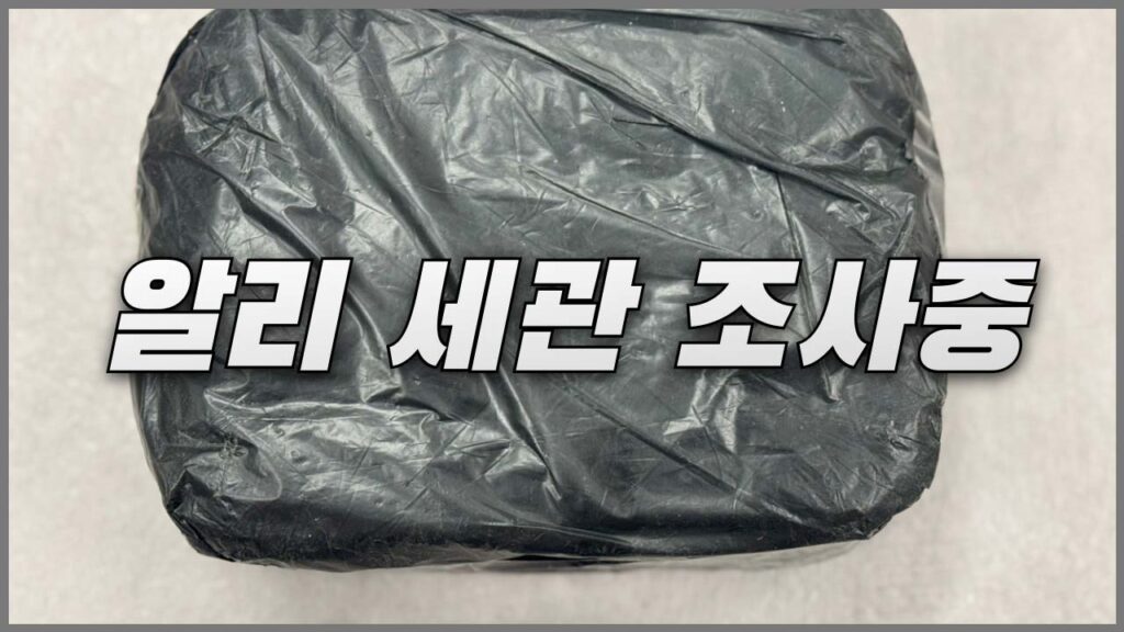 알리익스프레스 세관 조사중