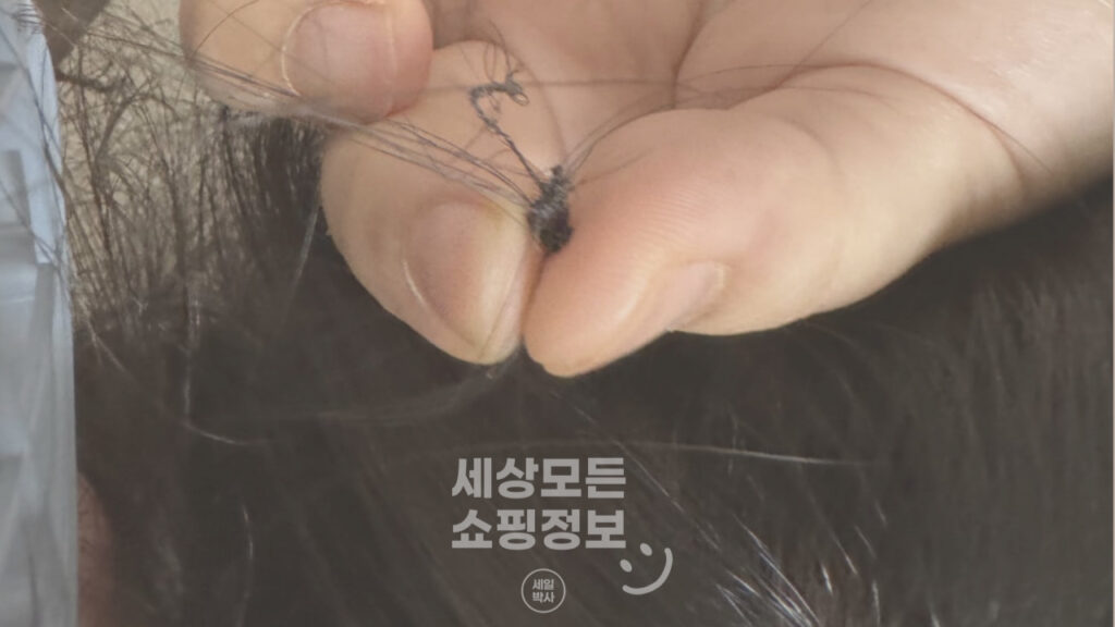 알리 미니 드론의 최후