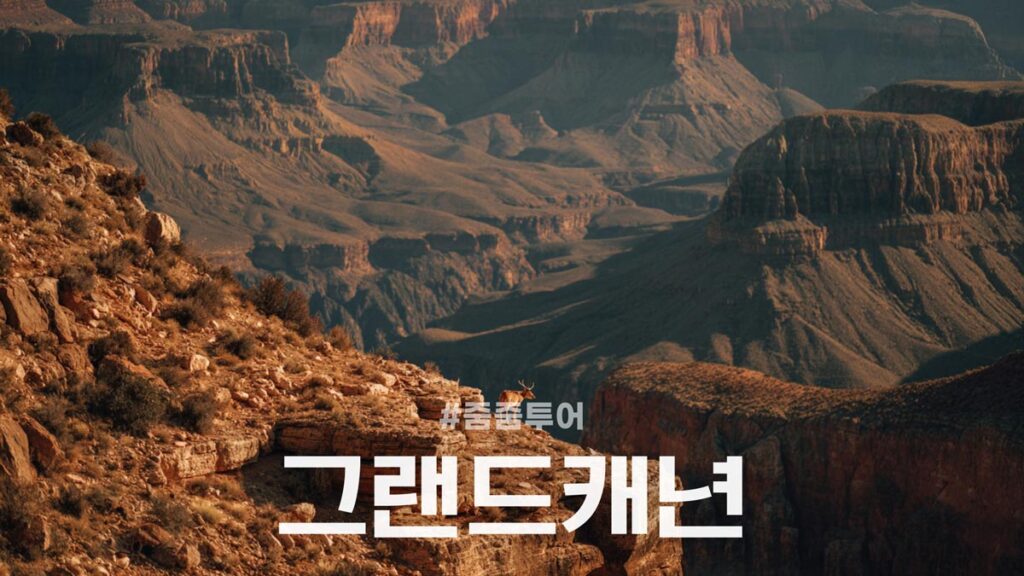 줌줌투어 그랜드캐년