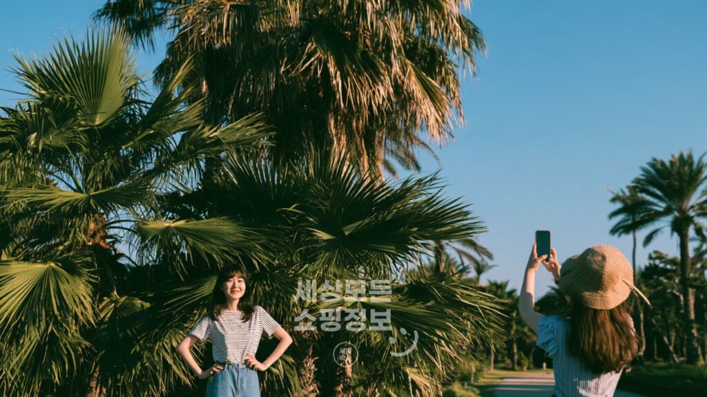 NordVPN 블랙프라이데이 혜택