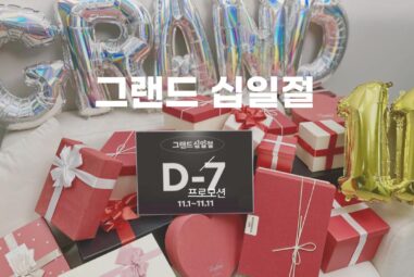 그랜드십일절 11번가 11절 할인행사 혜택 정리 [2024년 11월]