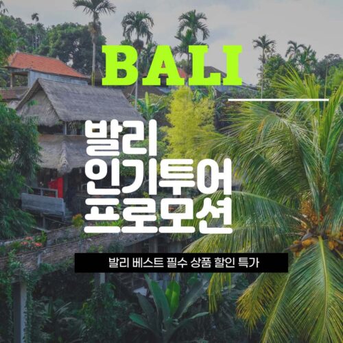 발리 베스트 투어 할인쿠폰