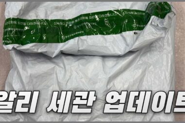 알리 세관 업데이트 임시계류 및 조사중 알리익스프레스 대응방법