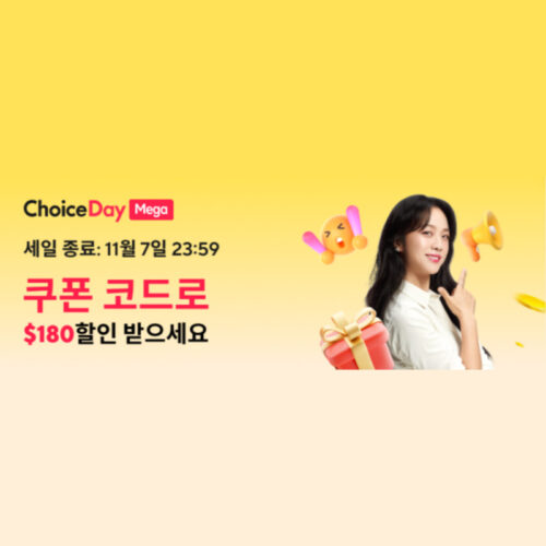알리 메가 초이스데이 프로모션 11월