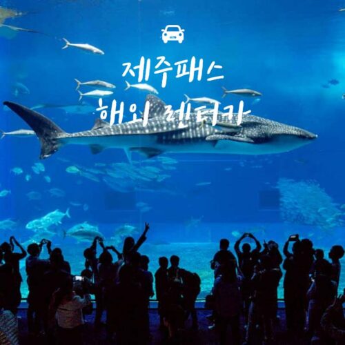 제주패스 블랙먼데이 프로모션코드
