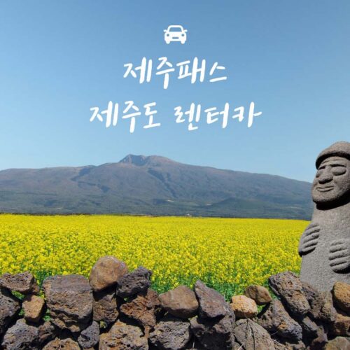 현대캐피탈 EV 충전카드 크레딧